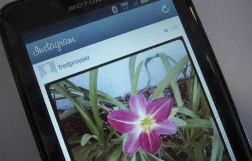 instagram arrive sur internet