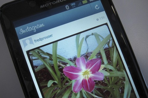 instagram arrive sur internet