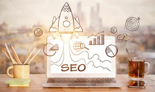 expert seo referencement naturel