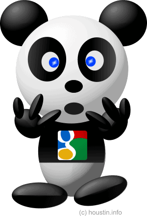 google panda choustininfo