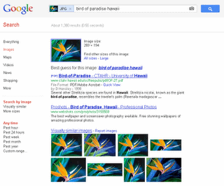 recherche par image2