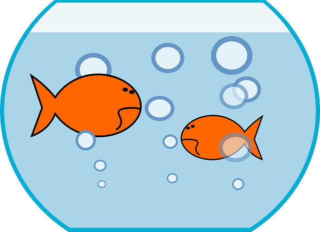  Poisson-Avril-Seo