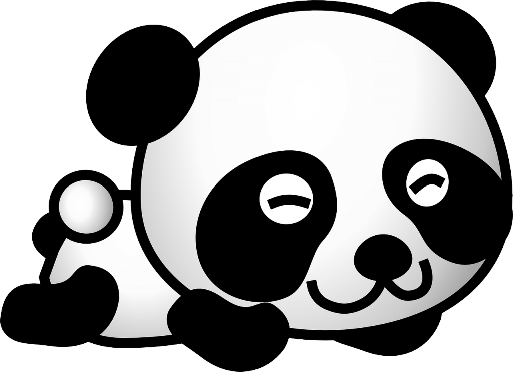 panda