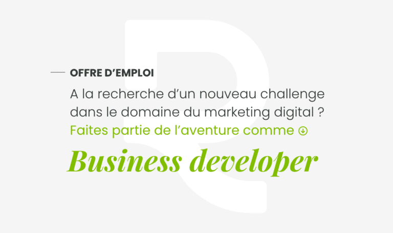 Offre Emploi Business Developer 2