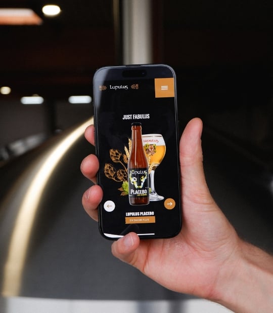 Creation Site Web Lupulus