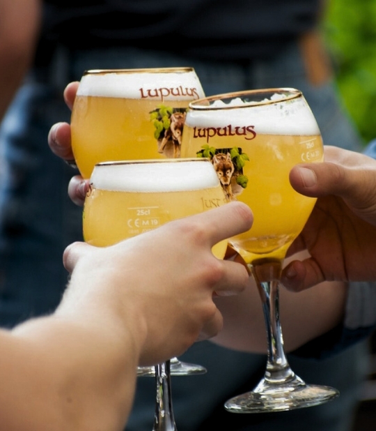 Site Web Sur Mesure Projet Lupulus